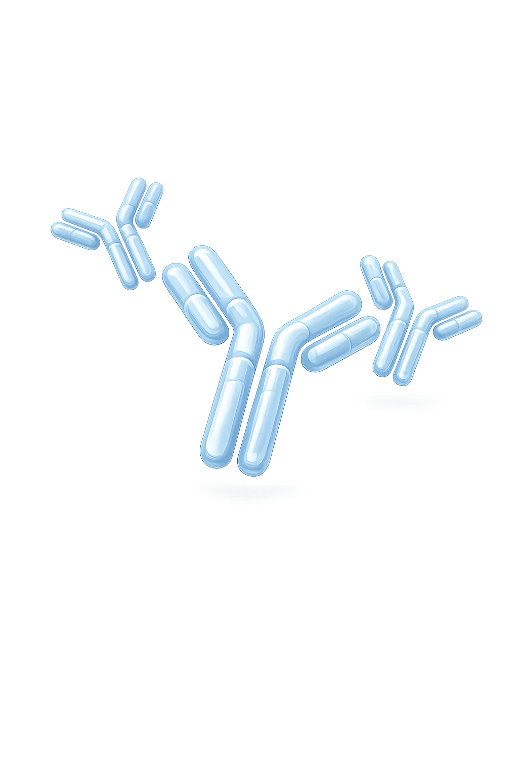 Imunologija ilustracija